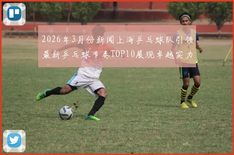 2026年3月份新闻上海乒乓球队引领最新乒乓球节奏TOP10展现卓越实力与风采