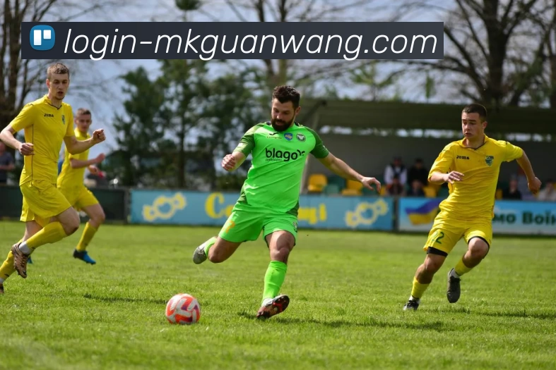 多媒体互动体验